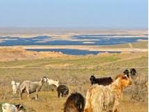 Boukhara - Khiva (450 km – 7h)