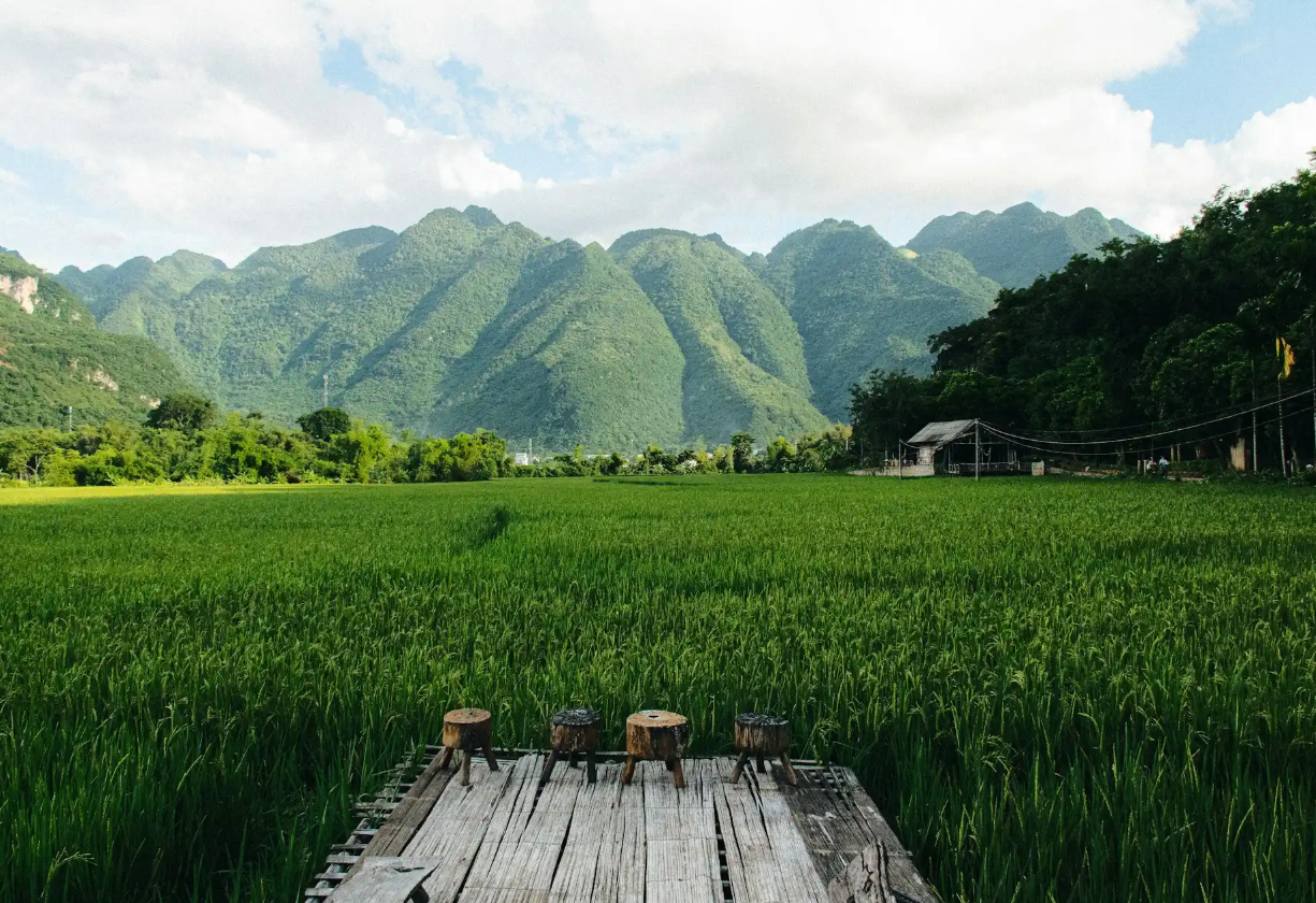 Hanoï – Duong Lam – Mai Chau